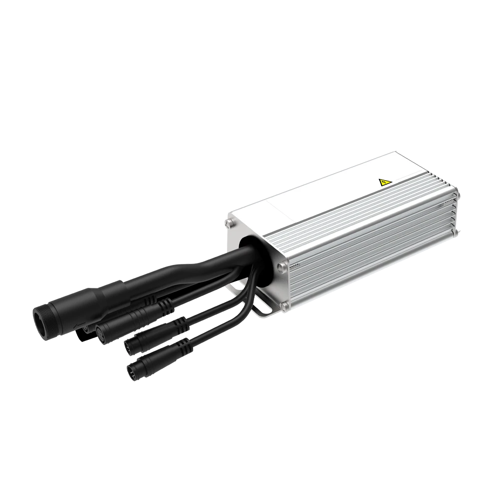 LBMC-H155